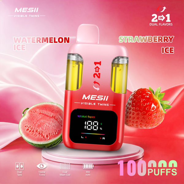 Mesii 100K Vape | 100000 Puffs Rechargeable Disposable Vape With Dual Flavor