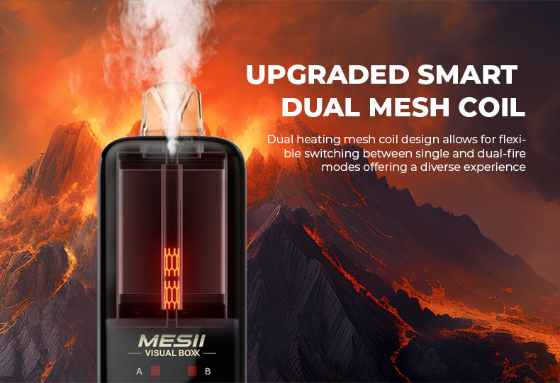 Upgraded Smart Dual MESH Coil