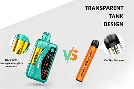 Visible Tank Vape vs Traditional Disposable Vape comparison.webp