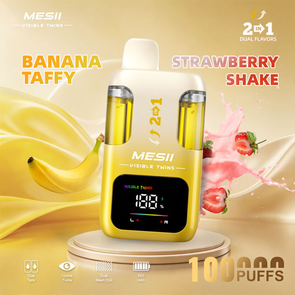 Mesii 100K Vape | 100000 Puffs Rechargeable Disposable Vape With Dual Flavor